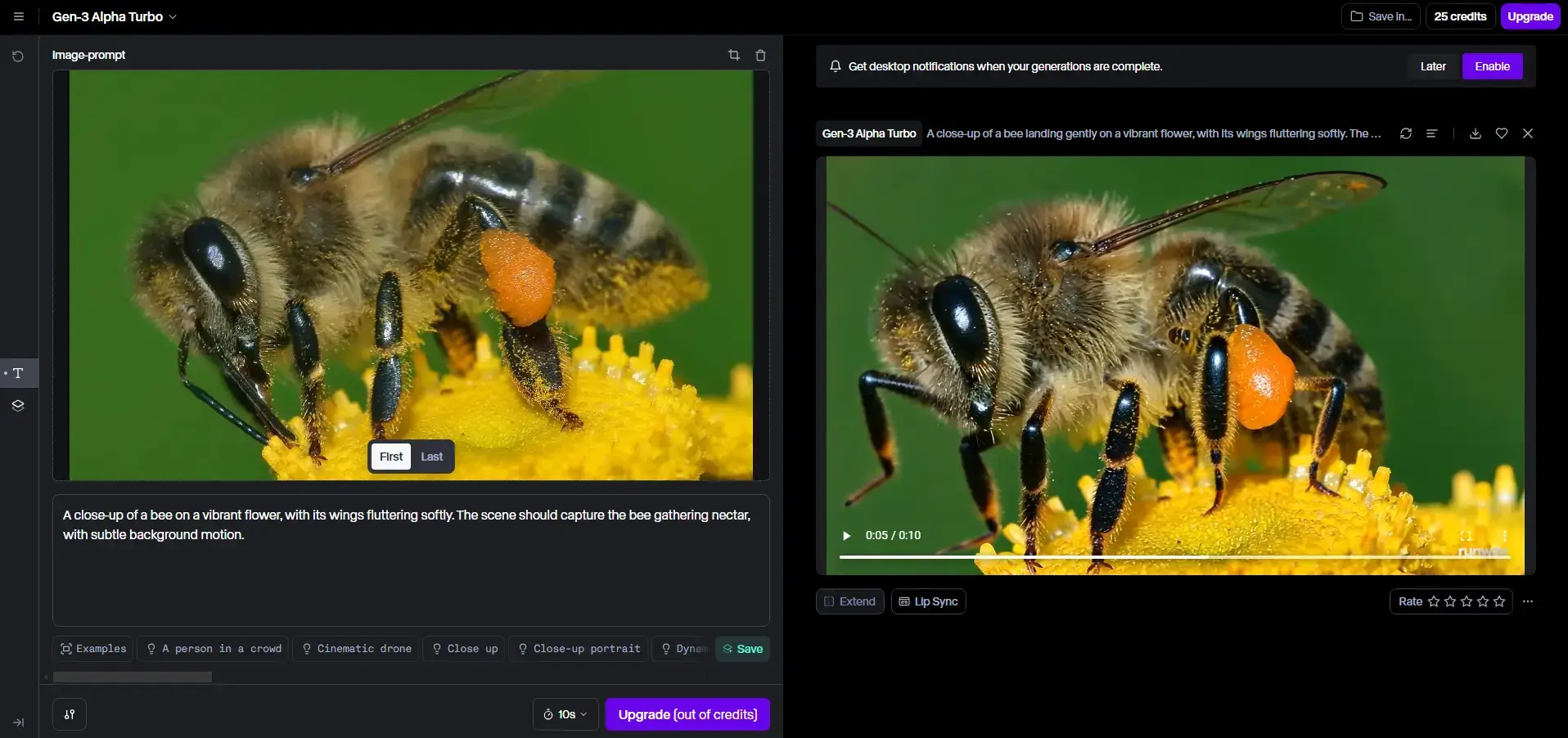 A screenshot of Runway's dashboard showing 2 video examples that feature a bee sitting on a yellow flower.